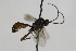 ( - CollHH1920)  @13 [ ] Creative Commons  Attribution Non-Commercial Share-Alike (2018) Hakon Haraldseide Unspecified