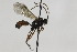  ( - CollHH1922)  @12 [ ] Creative Commons  Attribution Non-Commercial Share-Alike (2018) Hakon Haraldseide Unspecified
