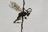  ( - CollHH1944)  @12 [ ] Creative Commons  Attribution Non-Commercial Share-Alike (2018) Hakon Haraldseide Unspecified