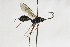  ( - CollHH1951)  @11 [ ] Creative Commons  Attribution Non-Commercial Share-Alike (2018) Hakon Haraldseide Unspecified