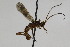  ( - CollHH1968)  @12 [ ] Creative Commons  Attribution Non-Commercial Share-Alike (2018) Hakon Haraldseide Unspecified