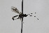  ( - CollHH1997)  @12 [ ] Creative Commons  Attribution Non-Commercial Share-Alike (2018) Hakon Haraldseide Unspecified