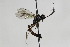  ( - CollHH1998)  @12 [ ] Creative Commons  Attribution Non-Commercial Share-Alike (2018) Hakon Haraldseide Unspecified