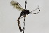  ( - CollHH1999)  @12 [ ] Creative Commons  Attribution Non-Commercial Share-Alike (2018) Hakon Haraldseide Unspecified