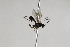  ( - CollHH2020)  @12 [ ] Creative Commons  Attribution Non-Commercial Share-Alike (2018) Hakon Haraldseide Unspecified