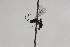 ( - CollHH2021)  @12 [ ] Creative Commons  Attribution Non-Commercial Share-Alike (2018) Hakon Haraldseide Unspecified