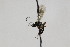  ( - CollHH2022)  @12 [ ] Creative Commons  Attribution Non-Commercial Share-Alike (2018) Hakon Haraldseide Unspecified