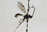  ( - CollHH2100)  @11 [ ] Creative Commons  Attribution Non-Commercial Share-Alike (2018) Hakon Haraldseide Unspecified
