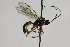 ( - CollHH2120)  @13 [ ] Creative Commons  Attribution Non-Commercial Share-Alike (2018) Hakon Haraldseide Unspecified