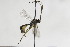  ( - CollHH2153)  @12 [ ] Creative Commons  Attribution Non-Commercial Share-Alike (2018) Hakon Haraldseide Unspecified