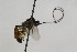  ( - CollHH2156)  @12 [ ] Creative Commons  Attribution Non-Commercial Share-Alike (2018) Hakon Haraldseide Unspecified
