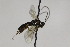  ( - CollHH2168)  @11 [ ] Creative Commons  Attribution Non-Commercial Share-Alike (2018) Hakon Haraldseide Unspecified