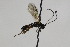  ( - CollHH2172)  @11 [ ] Creative Commons  Attribution Non-Commercial Share-Alike (2018) Hakon Haraldseide Unspecified