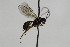  ( - CollHH2173)  @11 [ ] Creative Commons  Attribution Non-Commercial Share-Alike (2018) Hakon Haraldseide Unspecified