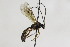  ( - CollHH2228)  @13 [ ] Creative Commons  Attribution Non-Commercial Share-Alike (2018) Hakon Haraldseide Unspecified