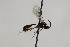  ( - CollHH2260)  @12 [ ] Creative Commons  Attribution Non-Commercial Share-Alike (2018) Hakon Haraldseide Unspecified