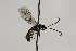  ( - CollHH2274)  @12 [ ] Creative Commons  Attribution Non-Commercial Share-Alike (2018) Hakon Haraldseide Unspecified