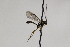  ( - CollHH2281)  @12 [ ] Creative Commons  Attribution Non-Commercial Share-Alike (2018) Hakon Haraldseide Unspecified