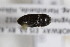  ( - CollHH2321)  @11 [ ] Creative Commons  Attribution Non-Commercial Share-Alike (2018) Hakon Haraldseide Unspecified