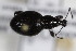  ( - CollHH2329)  @11 [ ] Creative Commons  Attribution Non-Commercial Share-Alike (2018) Hakon Haraldseide Unspecified