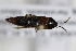  ( - CollHH2371)  @11 [ ] Creative Commons  Attribution Non-Commercial Share-Alike (2018) Hakon Haraldseide Unspecified