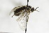  ( - CollHH2432)  @13 [ ] Creative Commons  Attribution Non-Commercial Share-Alike (2018) Hakon Haraldseide Unspecified