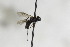  ( - CollHH2461)  @13 [ ] Creative Commons  Attribution Non-Commercial Share-Alike (2018) Hakon Haraldseide Unspecified