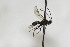  ( - CollHH2462)  @13 [ ] Creative Commons  Attribution Non-Commercial Share-Alike (2018) Hakon Haraldseide Unspecified