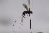  ( - CollHH2473)  @11 [ ] Creative Commons  Attribution Non-Commercial Share-Alike (2019) Hakon Haraldseide Unspecified