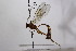  ( - CollHH2513)  @11 [ ] Creative Commons  Attribution Non-Commercial Share-Alike (2019) Hakon Haraldseide Unspecified