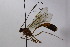 ( - CollHH2514)  @11 [ ] Creative Commons  Attribution Non-Commercial Share-Alike (2019) Hakon Haraldseide Unspecified