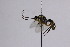  ( - CollHH2526)  @11 [ ] Creative Commons  Attribution Non-Commercial Share-Alike (2019) Hakon Haraldseide Unspecified