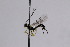  ( - CollHH2545)  @11 [ ] Creative Commons  Attribution Non-Commercial Share-Alike (2019) Hakon Haraldseide Unspecified