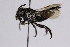  ( - CollHH2555)  @11 [ ] Creative Commons  Attribution Non-Commercial Share-Alike (2019) Hakon Haraldseide Unspecified