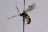  ( - CollHH2558)  @11 [ ] Creative Commons  Attribution Non-Commercial Share-Alike (2019) Hakon Haraldseide Unspecified