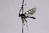  ( - CollHH2559)  @11 [ ] Creative Commons  Attribution Non-Commercial Share-Alike (2019) Hakon Haraldseide Unspecified