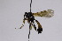  ( - CollHH2561)  @11 [ ] Creative Commons  Attribution Non-Commercial Share-Alike (2019) Hakon Haraldseide Unspecified
