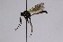  ( - CollHH2562)  @11 [ ] Creative Commons  Attribution Non-Commercial Share-Alike (2019) Hakon Haraldseide Unspecified