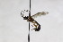  ( - CollHH2582)  @11 [ ] Creative Commons  Attribution Non-Commercial Share-Alike (2019) Hakon Haraldseide Unspecified