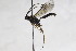  ( - CollHH2593)  @11 [ ] Creative Commons  Attribution Non-Commercial Share-Alike (2019) Hakon Haraldseide Unspecified