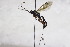  ( - CollHH2620)  @11 [ ] Creative Commons  Attribution Non-Commercial Share-Alike (2019) Hakon Haraldseide Unspecified