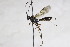  ( - CollHH2623)  @11 [ ] Creative Commons  Attribution Non-Commercial Share-Alike (2019) Hakon Haraldseide Unspecified