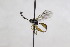 ( - CollHH2633)  @11 [ ] Creative Commons  Attribution Non-Commercial Share-Alike (2019) Hakon Haraldseide Unspecified