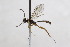  ( - CollHH2635)  @11 [ ] Creative Commons  Attribution Non-Commercial Share-Alike (2019) Hakon Haraldseide Unspecified