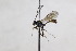 ( - CollHH2637)  @12 [ ] Creative Commons  Attribution Non-Commercial Share-Alike (2019) Hakon Haraldseide Unspecified