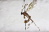  ( - CollHH2657)  @11 [ ] Creative Commons  Attribution Non-Commercial Share-Alike (2019) Hakon Haraldseide Unspecified