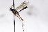  ( - CollHH2667)  @13 [ ] Creative Commons  Attribution Non-Commercial Share-Alike (2019) Hakon Haraldseide Unspecified