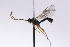  ( - CollHH2709)  @11 [ ] Creative Commons  Attribution Non-Commercial Share-Alike (2019) Hakon Haraldseide Unspecified