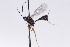  ( - CollHH2733)  @11 [ ] Creative Commons  Attribution Non-Commercial Share-Alike (2019) Hakon Haraldseide Unspecified