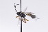  ( - CollHH2734)  @11 [ ] Creative Commons  Attribution Non-Commercial Share-Alike (2019) Hakon Haraldseide Unspecified